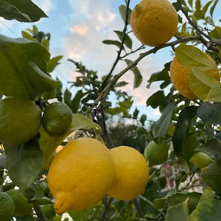 Casa Marieta Benissa