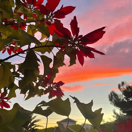 Casa Marieta Σπίτι διακοπών *