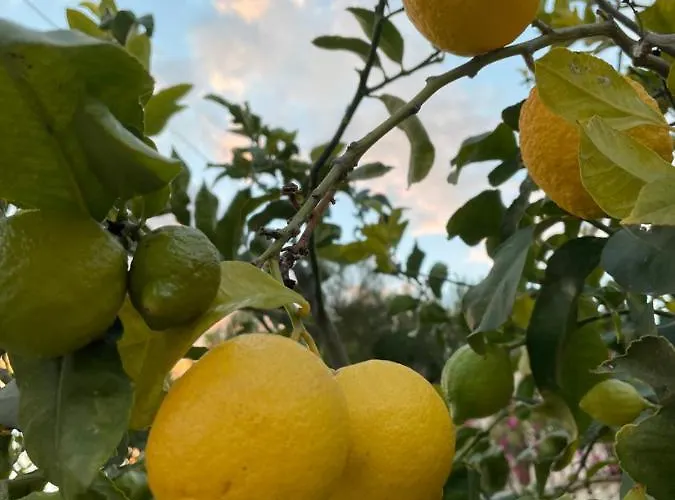 Casa Marieta Benissa