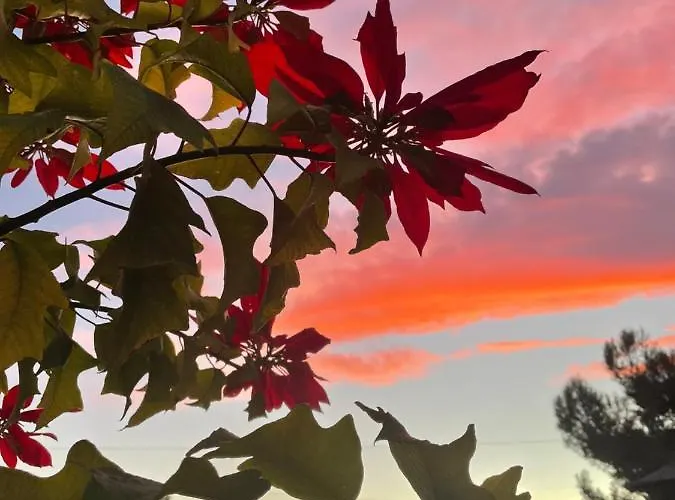 Casa Marieta Casa de Férias *